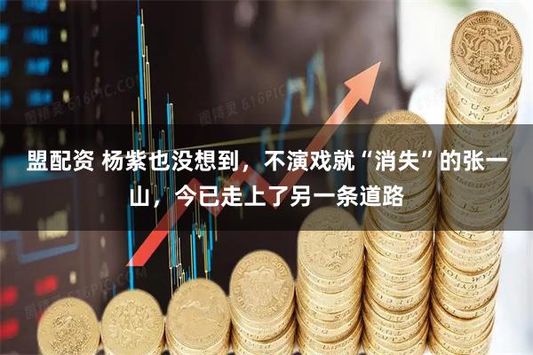 盟配资 杨紫也没想到，不演戏就“消失”的张一山，今已走上了另一条道路