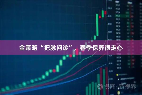 金策略 “把脉问诊”，春季保养很走心