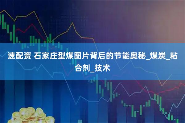速配资 石家庄型煤图片背后的节能奥秘_煤炭_粘合剂_技术